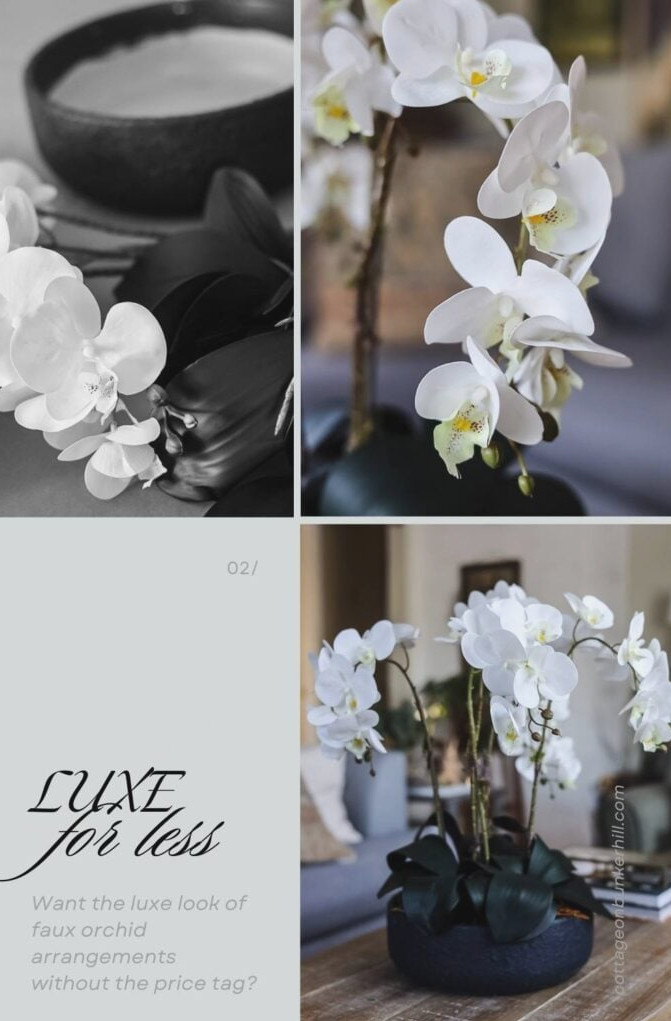 Luxe for Less: DIY Orchid Arrangement & Planter
