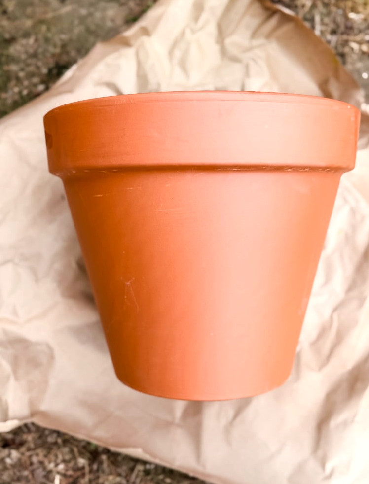 terracotta planter