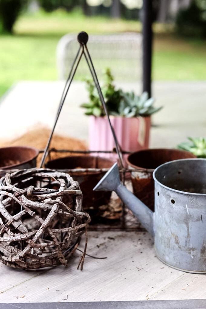 rusty, junky containers being used as succulent planters