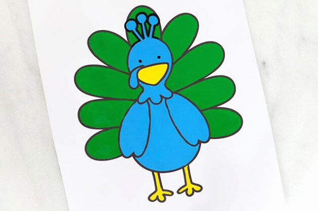 Color the peacock body