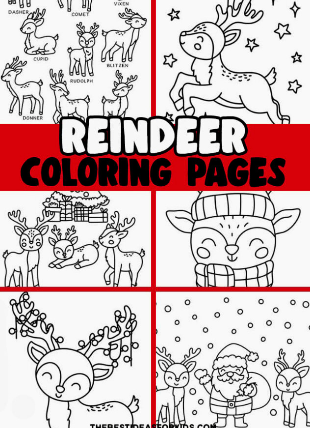 Reindeer Coloring Pages