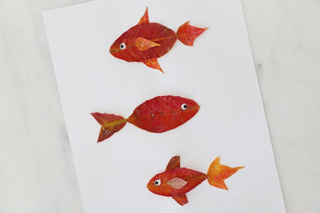 Painting eyes onto fish