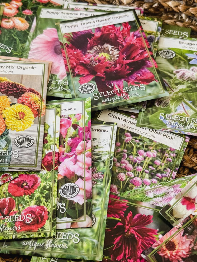 seed packets