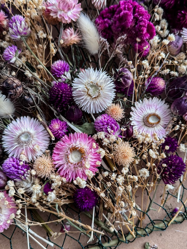 close-up image of colorful dried flowers