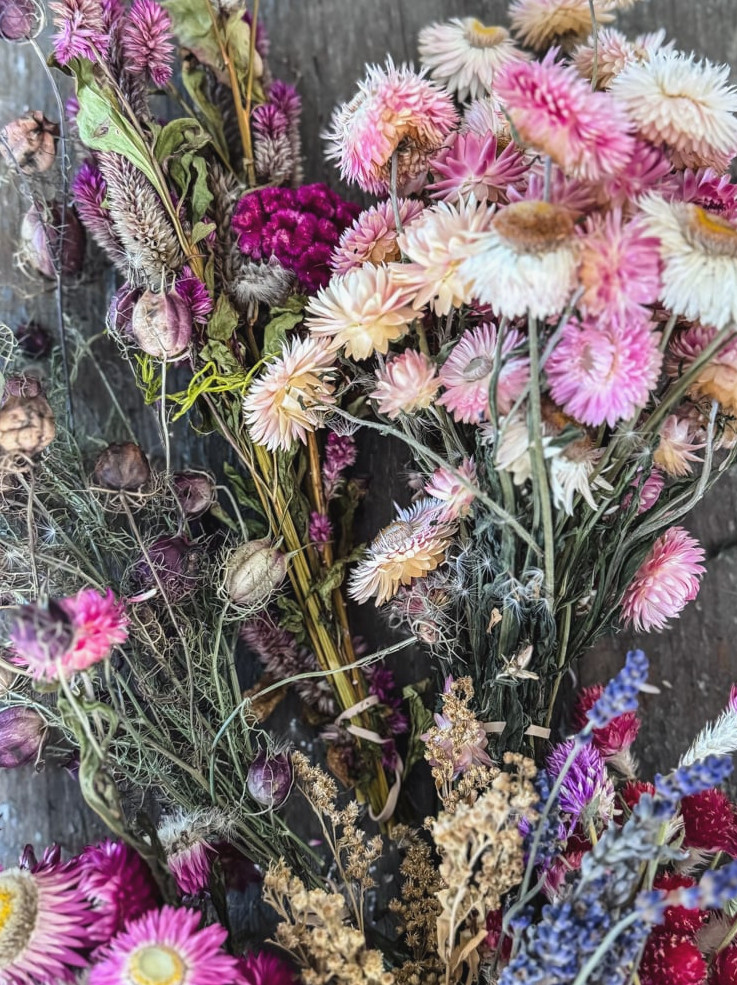 various dried flower bunches