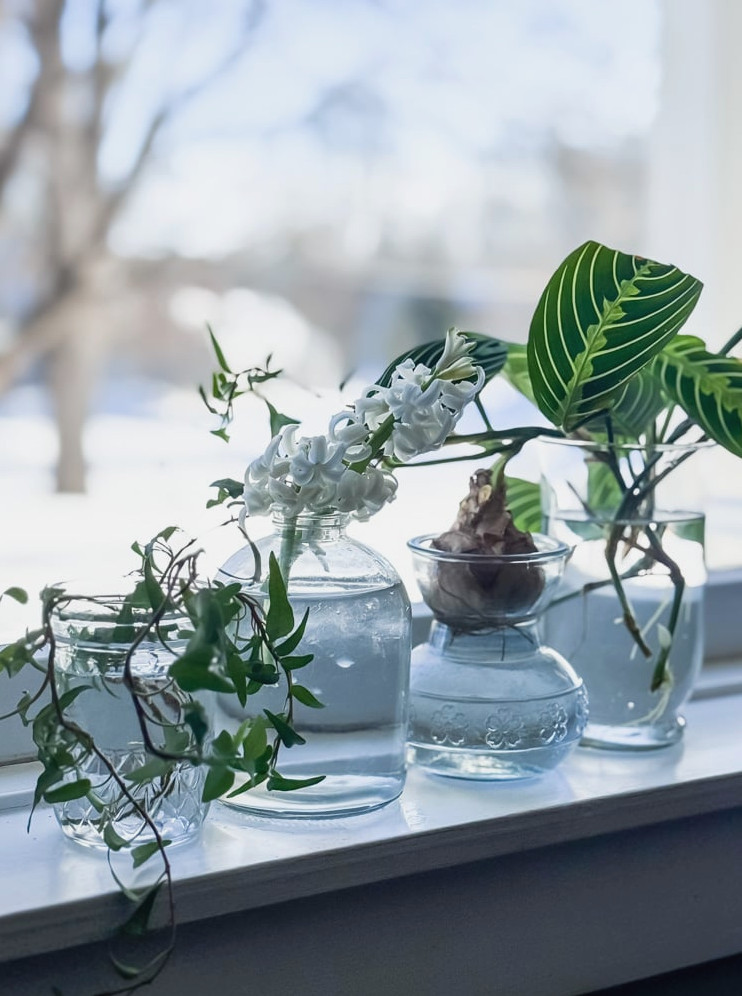 glass vases on windowsill