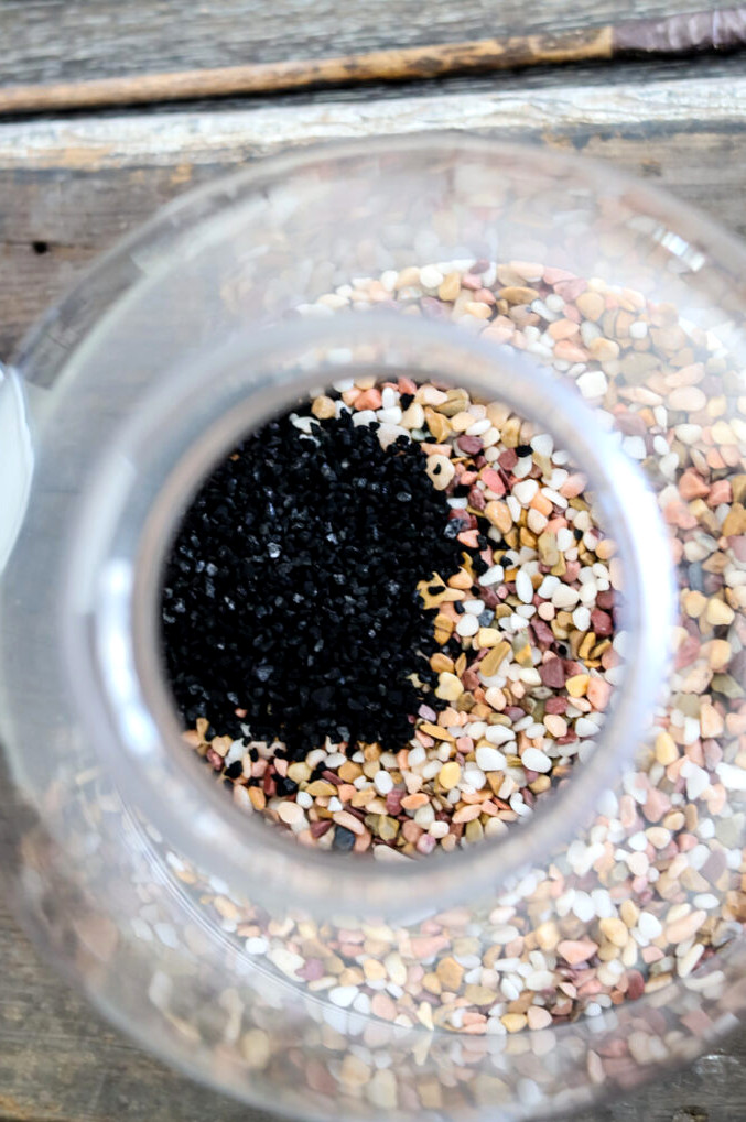 making a terrarium and adding charcoal