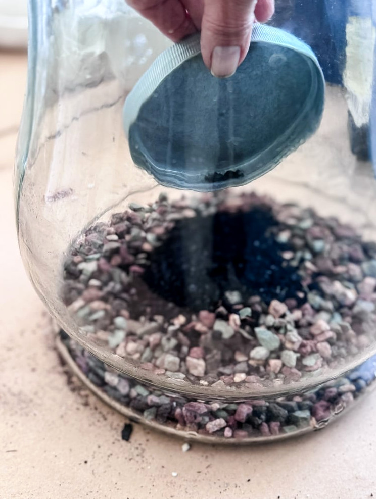 adding activated charcoal to a terrarium