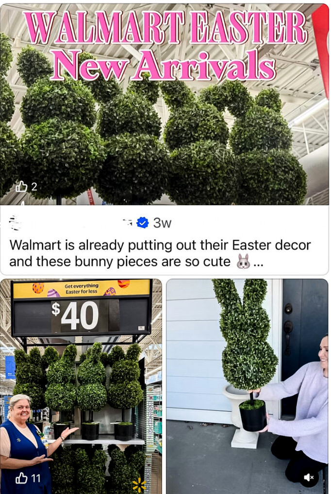 Auto Draft