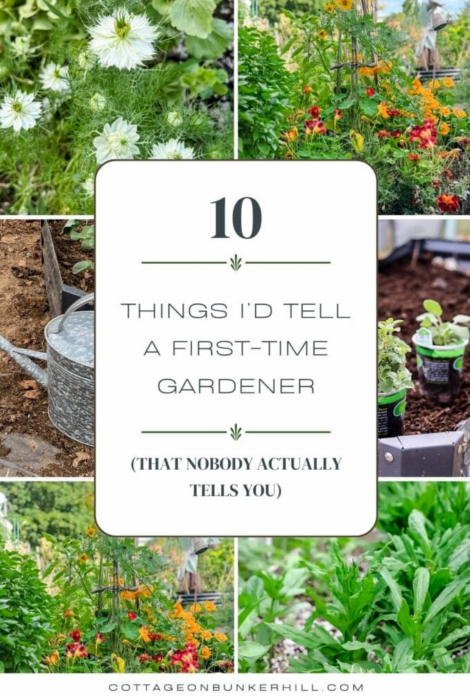 10 Things Every First-Time Gardener Should Know
