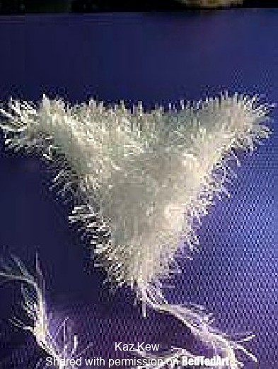 knit a fluffy gnome beard