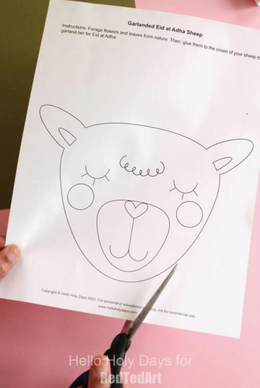 cut your hseep face