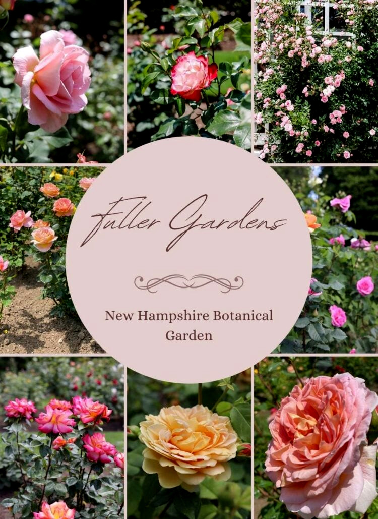 Fuller Gardens: A Local's Guide to North Hampton, NH's Hidden Gem