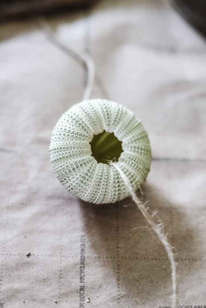 urching shell
