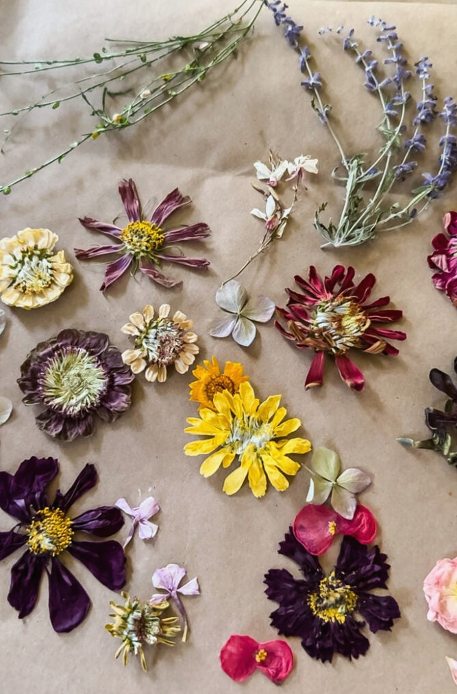 dried pressed garden flowers