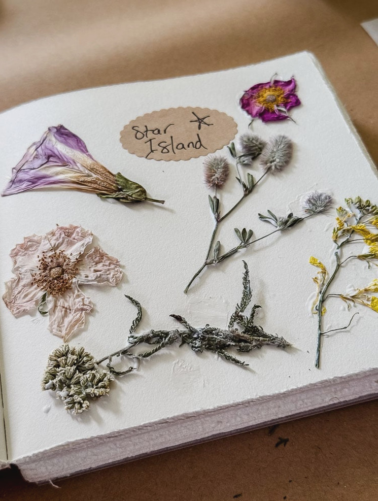 pressed flowers glued in a journal