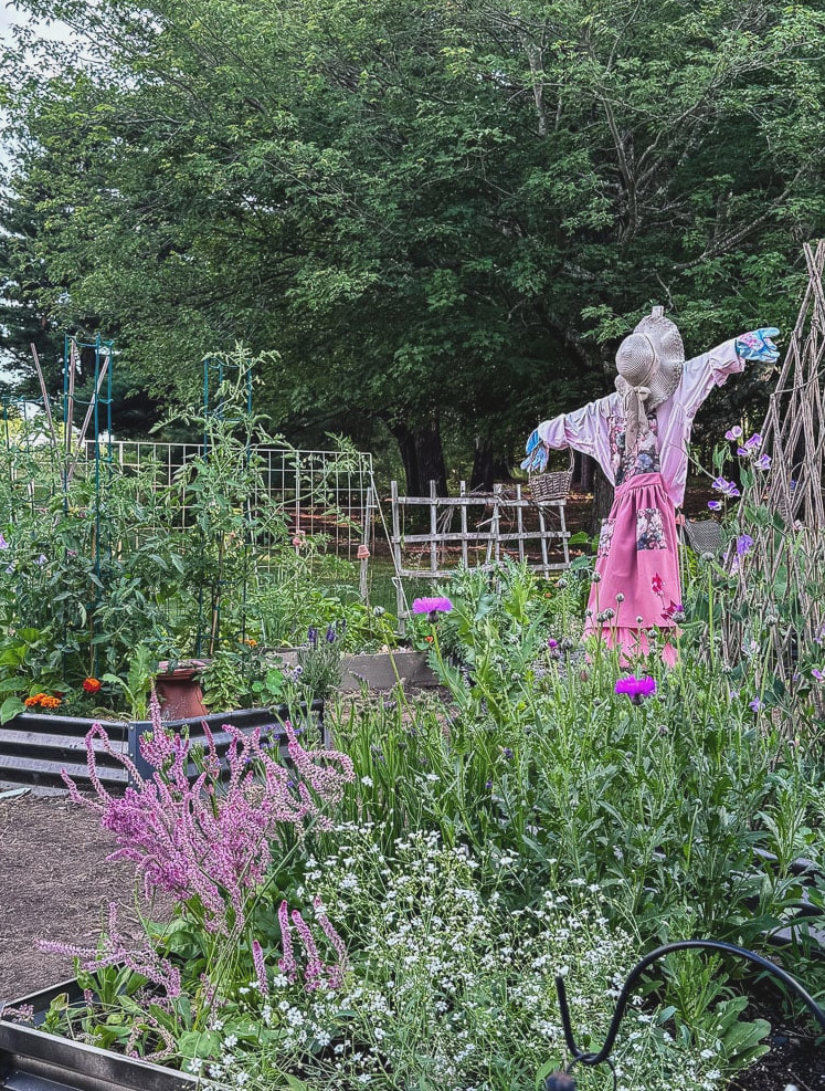 view of a flower garden with a pretty scarecrow